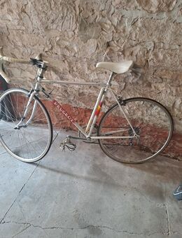 Peugeot Cologne Stahlrennrad , komplett Shimano 105, 2 mal 6, ca 50cm Rahmen - Buchen (Odenwald)