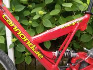 Cannondale Super V 500 - Karlsruhe