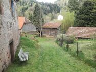 Bäuerliches Anwesen in idylischer Lage im Nationalpark Hochvogesen - Rockenhausen Zentrum