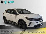 Opel Grandland, 1.2 48 V Hybrid El, Jahr 2024 - Bad Driburg