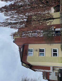 1 Zimmer Apartment im Rietzgartenviertel mit Einbauküche - Hamm