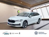 Skoda Superb, 2.0 TDI Combi RÜFA 18, Jahr 2024 - Idar-Oberstein