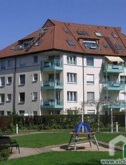 ** 2-Zimmer-Whg. mit 2 Balkonen in ruhiger Wohnlage ** - Werder (Havel)