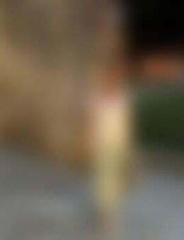 Ann*** - Freilassing