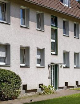 FIx und Fertig ! Laminat und Tapeten inklusive!!!! - Gelsenkirchen