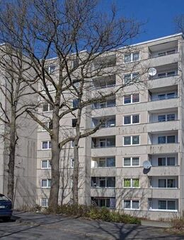 Demnächst frei! 4-Zimmer-Wohnung in Siegen Wenscht - Siegen (Universitätsstadt)