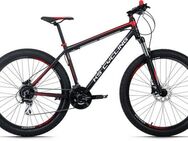 KS Cycling Mountainbike Xceed, 24 Gang Shimano Acera Schaltwerk, Kettenschaltung, für Damen und Herren, Kettenschaltung