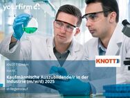 Kaufmännische Auszubildende/r in der Industrie (m/w/d) 2025 - Regenstauf