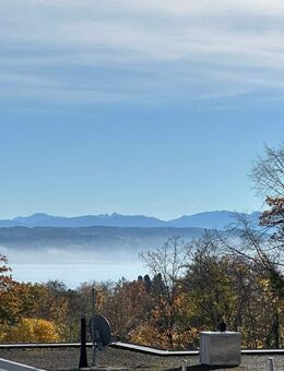 Unverbaubarer Seeblick! Außergewöhnliche Dachterrassen- Garten- ETW in ruhiger Lage von Tutzing. - Tutzing