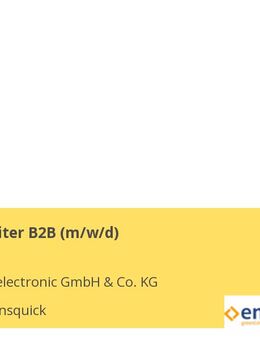 Vertriebsleiter B2B (m/w/d) - Wurmannsquick