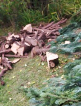 Helfe im Garten - Wetzlar