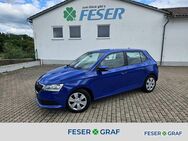 Skoda Fabia, 1.0 MPI Active NW, Jahr 2021 - Heideck