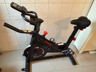 Heimtrainer - Brühl (Nordrhein-Westfalen)