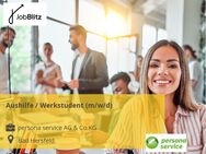 Aushilfe / Werkstudent (m/w/d) - Bad Hersfeld