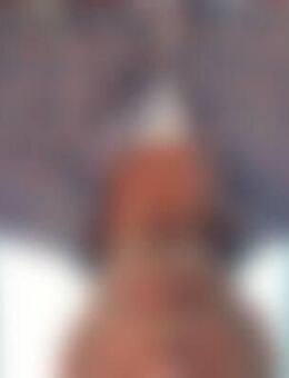 Hen*** - Langwedel (Niedersachsen)