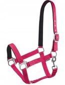 Economic Gefüttertes Pferdehalfter Reitsport Set24252 in 85055