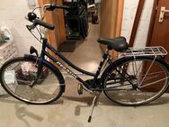 Damen City Fahrrad Pegasus, 26 Zoll - Meersburg