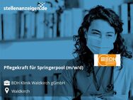 Pflegekraft für Springerpool (m/w/d) - Waldkirch