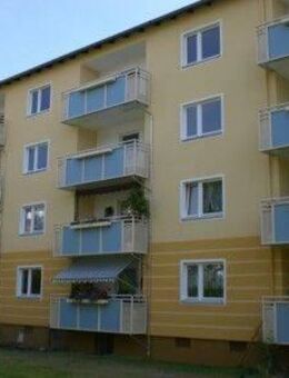 + 3 Zimmer // Großer Balkon + - Goslar