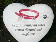 Tier Gedenkstein Herz, In Erinnerung an einen treuen Freund und Begleiter - Uslar Zentrum