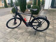 E-Bike Kettler Paramount Herren Rahmenhöhe 55cm - Teublitz