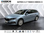 Skoda Octavia, 1.5 TSI Combi e-TEC Selection P, Jahr 2024 - Berlin