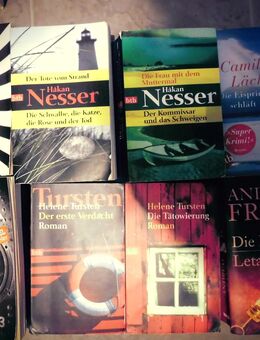 Thriller Krimis 29 Bücher zus. 5,- Fitzek Nesser Läckberg Fielding Franz Tursten Preston/Child Harris Forbes Grisham usw. - Flensburg