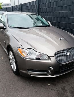 JAGUAR XF 2010 3.0 DIESEL AUTOMATIK GEG. GEBOT - Offenbach (Main) Tempelsee
