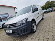 VW Caddy Maxi Kasten BMT AHK Regale Klima Tempomat - Garrel