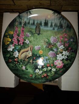 Fürstenberg Sammelteller Abenddämmerung auf der Waldwiese - Göttingen