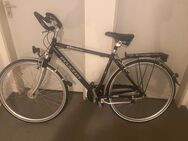 Herren Fahrrad Peugeot 28zoll - Detmold