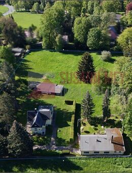 Waldsteinberg – Attraktives Grundstück mit Bestand zum Verkauf - Brandis