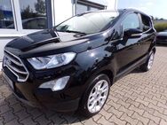 Ford EcoSport Titanium 1.0 EcoBoost - Bad Oeynhausen