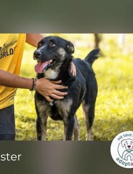 Duster: Vorsichtiger Gentleman - Kirchzell