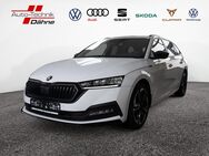 Skoda Octavia, 2.0 TSI Combi Sportline, Jahr 2024 - Wittenberge