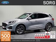 Ford Kuga, 2.5 ST-Line X, Jahr 2024 - Fulda