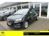 Opel Crossland, 1.2 Turbo EU6d Edition Mehrzonenklima, Jahr 2020 - Niederahr