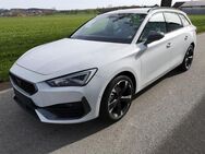 CUPRA Leon, 1.5 Kombi eTSI el, Jahr 2024 - Dettingen (Erms)