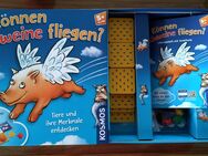 Spiel "Können Schweine fliegen" - Kriftel