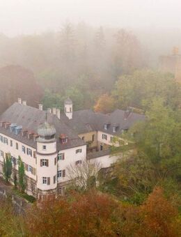 Herrschaftliches Schlossanwesen mit Parklandschaft - Thalmassing