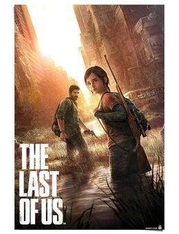 Reinders! Poster Playstation - the last of us