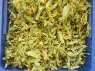 1 Kg frisch getrocknete Lindenblüten Tee - Leipzig