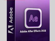 Adobe After Effects 2025 | Win, MAC - Berlin