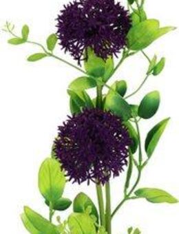 Kunstblume Arrangement Allium, I.GE.A., Höhe 63 cm, Vase aus Keramik