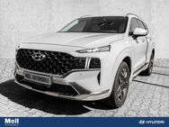 Hyundai Santa Fe Signature PHEV 4WD HUD Niveau Navi Leder - Aachen