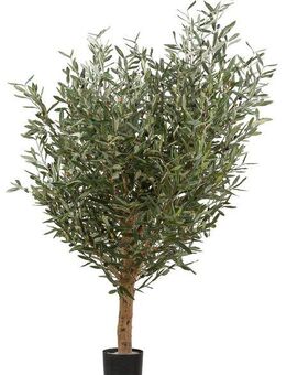 Kunstbaum Olive, Creativ green, Höhe 160 cm, mit echtem Holzstamm
