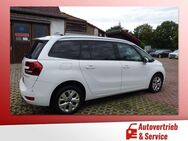 Citroen Grand C4 Picasso / SpaceTourer 1.5 HDi 7-Sitzer - Potsdam