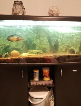 Aquarium mit Unterschrank - Lambsheim