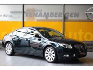 Opel Insignia A Lim. Sport 4x4 Leder Sitzlüftung AHK - Mettingen