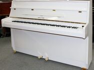 Klavier Hyundai U810, weiß poliert, Baujahr 1995, 5 Jahre Garantie - Egestorf